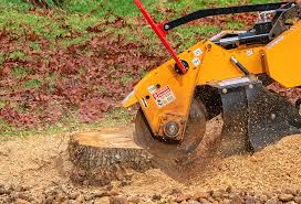 Best Tree Removal  in Wildwood Crest, NJ