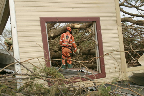Best Tree Disease Treatment  in Wildwood Crest, NJ